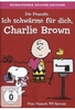Peanuts: Ich schwärme für dich,  Charlie Brown