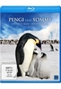 Pengi und Sommi - Die neue Reise der Pinguine