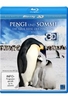Pengi und Sommi - Die neue Reise der Pinguine (inkl. 2D-Version)
