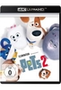 Pets 2 (4K Ultra HD)