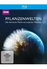 Pflanzenwelten - Die geheime Macht auf unserem Planeten