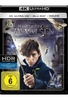 Phantastische Tierwesen und wo sie zu finden sind (4K Ultra HD) (+ Blu-ray)