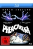 Phenomena