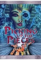 Picking up the Pieces