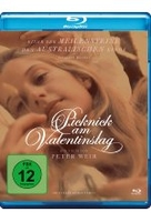 Picknick am Valentinstag