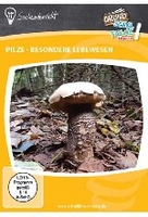 Pilze - besondere Lebewesen