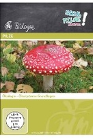 Pilze: Ökologie - Ökosyteme Grundlagen