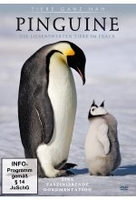 Pinguine - Die liebenswerten Tiere im Frack