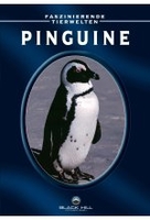 Pinguine - Faszinierende Tierwelten