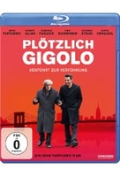 Plötzlich Gigolo