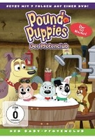 Pound Puppies - Der Pfotenclub - Staffel 2/Vol.1 Der Baby-Pfotenclub