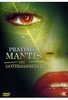 Praying Mantis - Die Gottesanbeterin