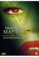 Praying Mantis - Die Gottesanbeterin