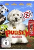 Pudsey - Ein tierisch cooler Held