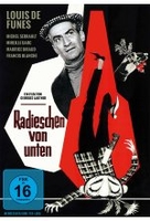 Radieschen von unten
