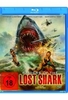 Raiders of the Lost Shark