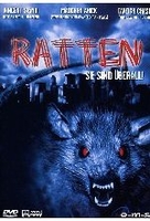 Ratten - Sie sind überall