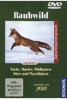Raubwild - Fuchs/Marder/Wildkatzen/Otter/Wasch..