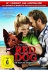 Red Dog