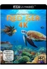 Red Sea (4K Ultra HD)