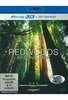 Redwoods Nationalpark (inkl. 2D-Version)