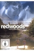 Redwoods (OmU)