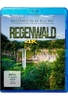Regenwald - Rainforest (4K Ultra HD)