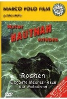 Rochen - Elegante Meeresriesen der Malediven