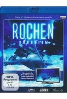 Rochen-Aquarium