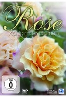 Rose - Königin der Blumen