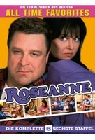 Roseanne - Staffel 6 [4 DVDs]