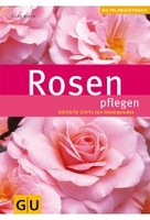 Rosen pflegen