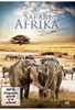 Safari - Afrika
