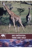 Safari - Die größten Tiere der Welt