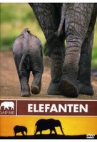 Safari - Elefanten