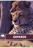 Safari - Geparde