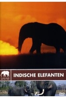 Safari - Indische Elefanten