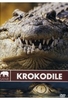 Safari - Krokodile