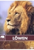 Safari - Löwen