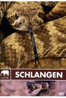 Safari - Schlangen