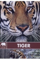 Safari - Tiger