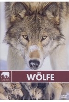 Safari - Wölfe