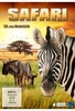 Safari 3D [4 DVDs]