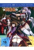Samurai Bride - Die komplette zweite Staffel im limitierten Metalpack [3 BRs]