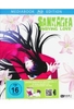 Sankarea - Undying Love Vol.3 - Mediabook [LE]