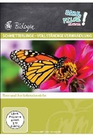 Schmetterlinge - vollständige Verwandlung