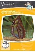 Schmetterlinge - Wie sie sich verwandeln