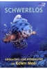 Schwerelos - Abtauchen und entspannen im Roten Meer