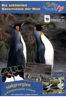 Südgeorgien & Königspinguine erleben