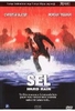 Sel - Hard Rain (türkisch)